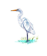 Coastal Great White Egret Heron Bird Watching Auto Boat Rv Window Decal ... - $6.95+
