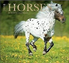 16 Month Wall Calendar 2018 - Horses - £7.00 GBP