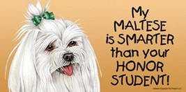 My MALTESE w/Bow is SMARTER than your Honor Student! Car Fridge Dog Magn... - £5.38 GBP