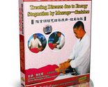 Zhang-Style Massage for Dizziness and Brain Distention Stagnation Guide DVD - $15.99
