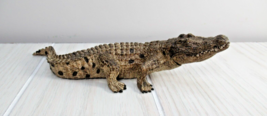 Schleich Alligator Baby D-7352 7-8&quot; used toy animal figure realistic - £3.86 GBP