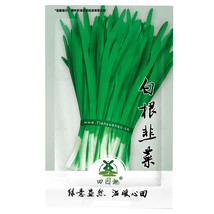 1000Pcs Chinese Garlic Chives Seeds Asian Herb Green Onion Leek Seed Garden Beau - $10.89