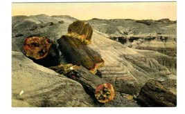 Petrified Logs Petrified Forest Hand Colored Postcard 1936 Holbrook Arizona - £9.34 GBP