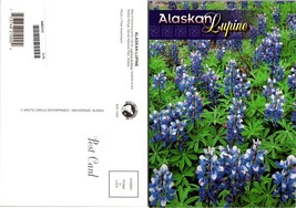 Alaska Alaskan Lupine Flowers Wildflowers Blooming Artic Lupine VTG Postcard - £7.35 GBP