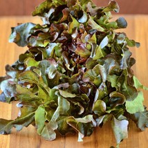 Red Oakleaf Lettuce Heirloom Seeds Gourmet Open Pollinated Ing Non-Gmo USA SELLE - $12.73