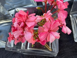 6 square glass vases - $28.00