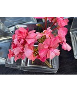 6 square glass vases - $28.00