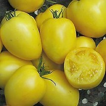 Fresh Powers Tomato 20 Seeds Yellow Paste US Seller - $17.98