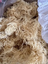 Saint Lucian Organic Gold Sea Moss - Premium Quality - 1 Pound - £13.87 GBP
