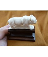 (LYNX-8) medium white Lynx cat Bobcat shed ANTLER figurine Bali detailed... - $99.99