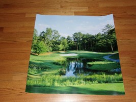Trees In A Golf Course Pine Needles Lodge &amp; Golf Club Pinehurst Moore County New - £23.97 GBP
