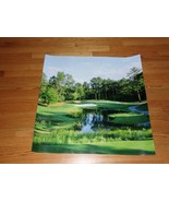 Trees In A Golf Course Pine Needles Lodge &amp; Golf Club Pinehurst Moore Co... - $30.00
