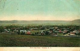 Waverly Ny Uccelli Occhio Vista Foto Cartolina c1910 - £6.73 GBP