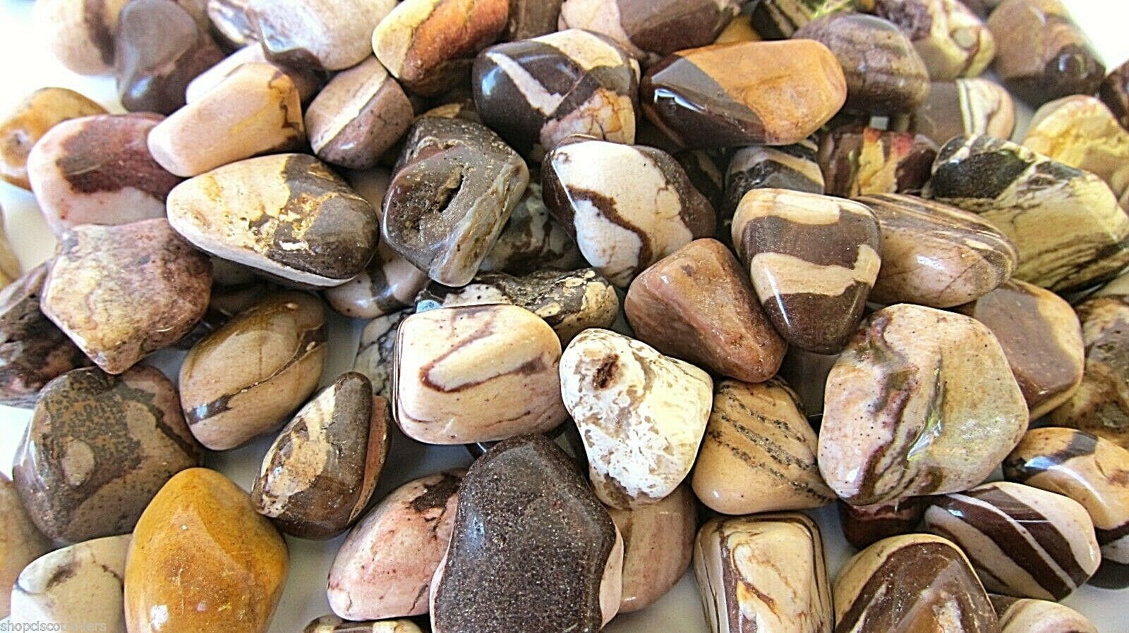 1X Zebra Jasper Tumbled Stone 20-25mm Reiki Healing Crystal Protection D... - $1.67
