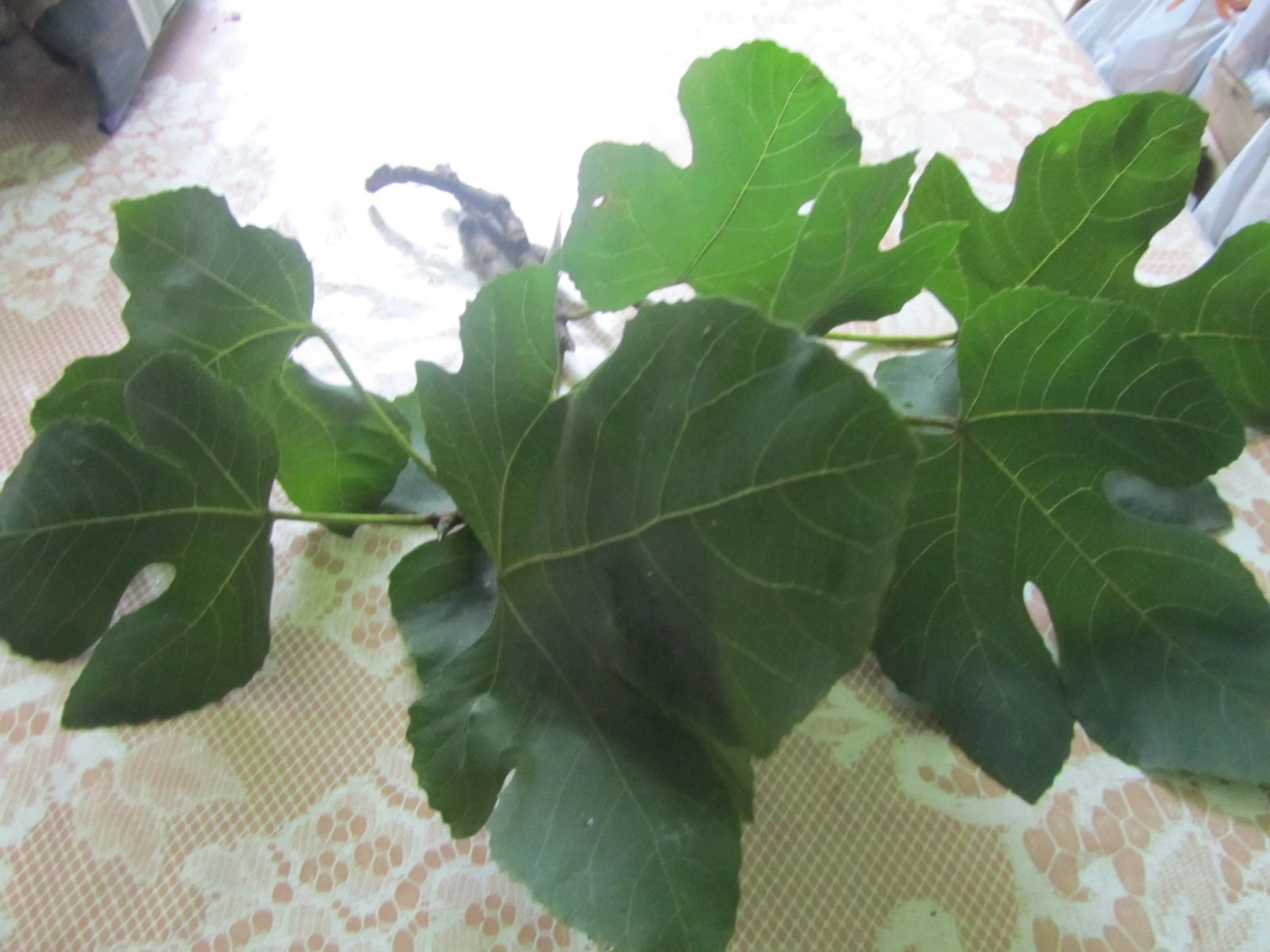 Item image 1