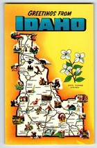 Postcard Greetings From Idaho Map Chrome Syringa State Flower Unused Vintage - £9.38 GBP