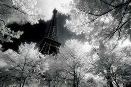 Paris France Poster ~ Eiffel Tower Trees 24x36 Travel Photography 31824 - £6.76 GBP