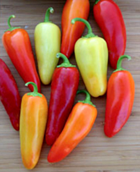 1/4 Oz Santa Fe Pepper Seeds Mild Pepper Seeds 1000Ct New Fresh US Shipping - $23.48
