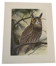 John A Ruthven Signed Art Print Long Eared Owl Birds of Prey Artwork 14&quot;x17&quot; Vtg - £112.77 GBP