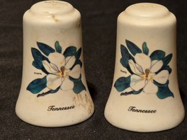 Vintage Tennessee Magnolias Salt &amp; Pepper Shaker Set - Farmhouse Country... - $8.89