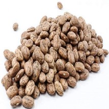 Pinto Shell Bean Seeds Gardening USA SELLER - $10.97