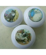 Cabinet Knobs Knob w/ Birman Himilayan Tabby White CAT - $16.33