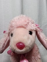 Ty Pinkys Buddy PINKY POO PINK POODLE  ~ 2004 ~ RETIRED ~ HTF ~12” Pink - $19.35