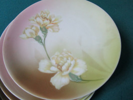 Rs Prussia Set 5 Fruit Bowls &amp; Plates White Carnations Sepia Colors Germany - £78.45 GBP
