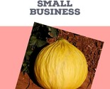 15 Casaba Melon Seeds Fruit Non Gmo Fast Shipping - $8.99