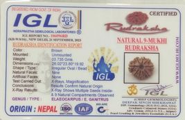 Item image 5