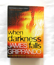 When Darkness Falls   by James Grippando  Large Print - $2.00