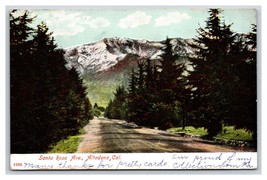 Santa Rosa Avenue Altadena California CA 1908 DB Postcard T1 - £3.85 GBP