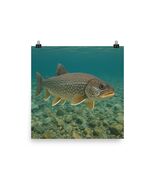 Lake Trout Poster Wall Art | Fishing Decor for Cabin, Lodge, Man Cave, 1... - $19.50