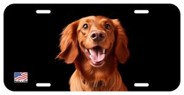 IRISH SETTER FACE CAN PERSONALIZE NOVELTY METAL LICENSE PLATE B - $6.00