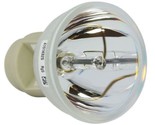 Optoma SP.8NV01GC01 Osram Projector Bare Lamp - $62.99