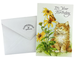 Hallmark Expressions Birthday Card Orange Kitten Staring at Butterfly on  Flower - £4.67 GBP
