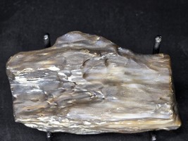 Petrified Wood Log Large Natural Decorative Crystal (04) - $29.69