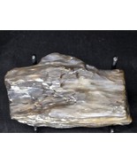 Petrified Wood Log Large Natural Decorative Crystal (04) - $41.75 CAD