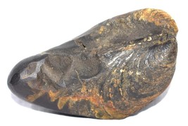 Sarvottam Radha Krishna Aniruddha Shaligram - Rivière Gandaki Népal - $127.47