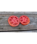 Starfire Tomato Seeds – Early Canadian Heirloom, Compact Plant -Medium F... - $68.17 MXN+