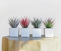 Classic Set of 4 Faux Succulents 7 Tall in Ivory White Stucco Ceramic Pots Reali - £56.17 GBP