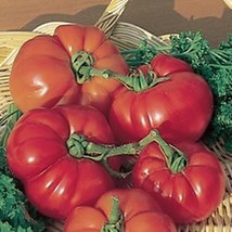 Super Marmande Tomato 5 seeds (P 099) - £1.56 GBP