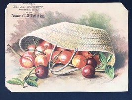 Victorian Advertisement Card 1800s H.M. Story Potsdam New York Cherries ... - £7.99 GBP