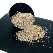 Jeera, 100G (Loose) Cumin Seeds Spices Masale - $14.88