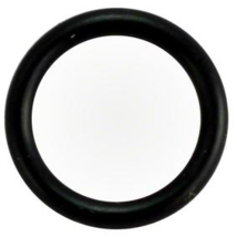 Waterway 8050112 O-Ring for Pump Drain Plug - $9.19