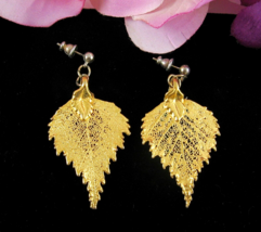 Vintage Birch Leaves Earrings Gold Dipped Genuine Leaf Pierced Post Lacy 2&quot; - £14.86 GBP