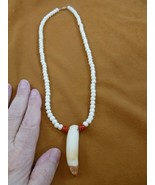 (G160-300A) 2-3/8&quot; GATOR Alligator Tooth white aceh bovine bone + red NE... - $1,161.41 MXN