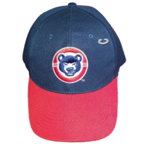 Chicago Cubs Baseball Hat Patch Adjustable Hook N Loop Back. New. Tru Way - $38.72