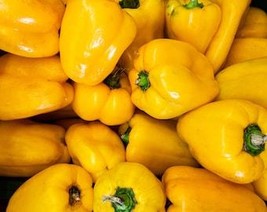 50 Yellow Cheese Pimento Pepper Capsicum Annuum Vegetable Seeds Fresh Usa Seller - £7.85 GBP