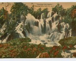 Roaring River Falls St Ann&#39;s Postcard Greetings from Jamaica - £14.01 GBP